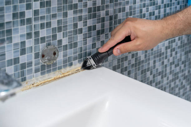Best Residential Mold Remediation in Santa Ana, CA