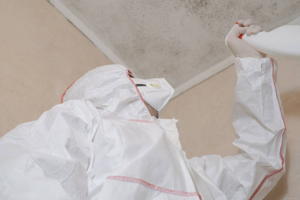 Best Crawl Space Mold Remediation in Santa Ana, CA